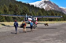 Alaska Bear Viewing Adventure from Seward