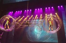 4 hrs Beijing Forbidden City Tour with Lunch or acrobatic Show