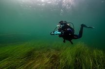 Try Scuba Diving in Galway, Ireland