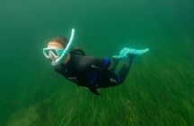 Guided Snorkel Activity at Coral Beach Carraroe, Galway