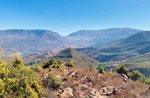 Atlas private day tour and Berber experience
