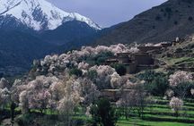 Atlas private day tour and Berber experience
