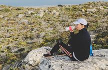 Cape of Good Hope- Chapman’s peak route & Penguins – Cape Town