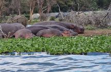 Day Tour To Hell's Gate National Park and Optional Boat Ride on Lake Naivasha.