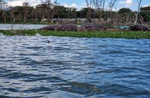 Day Tour To Hell's Gate National Park and Optional Boat Ride on Lake Naivasha.