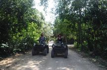 Private ATV Jungle Explorer Tour