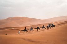 8-Hour Tour Giza Pyramids, Egyptian Museum and Cairo Bazaar