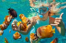 Full-Day Safari Blue Lagoon Adventure In Zanzibar