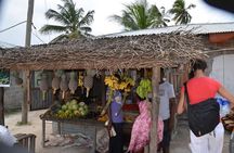  Mnemba Island, Nungwi Village & Sea Turtle Experience