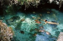  Mnemba Island, Nungwi Village & Sea Turtle Experience