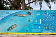 Cruise Passanger Beach day in Barbados with shuttle transfers