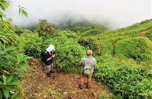 Fansipan Trekking 3 Days 2 Nights