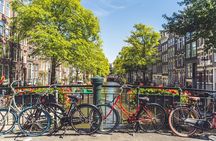 Amsterdam Highlights Small-Group Walking Tour 