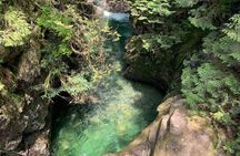 Vancouver Rainforest Hike with Waterfalls, Suspension Bridge, Old Growth Forest