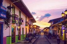 Salento, Cocora and Filandia Private Tour from Pereira or Armenia