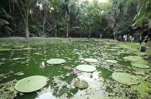 Private Tour at Musa (Botanical Garden, Amazon Museum)