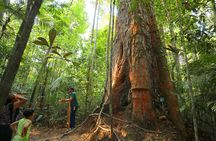 Private Tour at Musa (Botanical Garden, Amazon Museum)