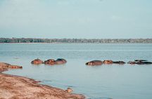 3-Day Selous Safari Discover Nyerere National Park