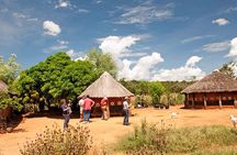 Victoria falls Local Village Experience 