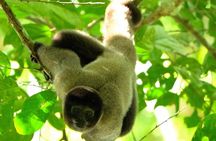 3-Day Eco-Sustainable Private Tour Manu National Park
