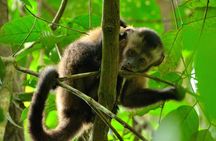 3-Day Eco-Sustainable Private Tour Manu National Park
