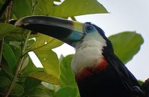 3-Day Eco-Sustainable Private Tour Manu National Park