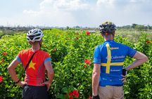 Full-Day Red River Bike Tour from Hanoi with Lunch and Pickup