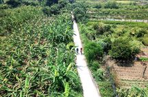 Red River Countryside Bike Tour from Hanoi with Lunch