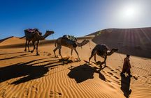 4 Day Private Desert to Merzouga from Marrakech