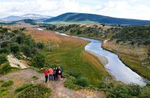 Canoeing Adventure on the Beagle Channel and Penguin Colony