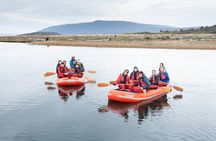 Canoeing Adventure on the Beagle Channel and Penguin Colony