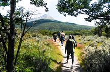 Half-Day Small-Group Tierra del Fuego National Park Tour