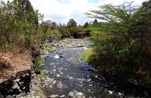 1 Day Arusha national park (Game drive and walking safari).