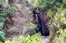 1 Day Arusha national park (Game drive and walking safari).