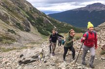 Vinciguerra Glacier Small Group Trek