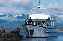 Beagle Channel Yacht Sailing Tour from Ushuaia