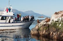 Beagle Channel Yacht Sailing Tour from Ushuaia