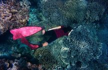 Night-Time Snorkel at TurtleTown with Stars, Lights, and Photos