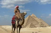 Giza Pyramids & GEM Museum 