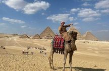 Giza Pyramids & GEM Museum 