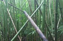 Hidden Hawaii Tours