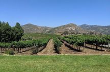 Vineyard Adventure to local San Diego Vineyards