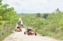 Buggies Ecological Adventure Tour in Macao from Bávaro Punta Cana