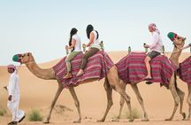 Desert Safari Qatar