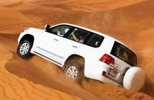 Desert Safari Qatar
