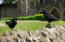 Tower of London Private Walking Tour