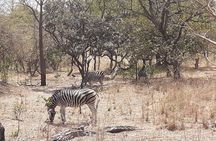 Fathala Wildlife Park