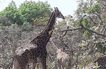 Fathala Wildlife Park