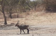 Fathala Wildlife Park