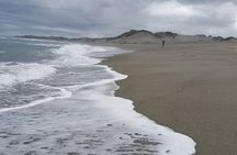 Sand Dunes National Heritage Park& Natadola Beach Half Day Tour